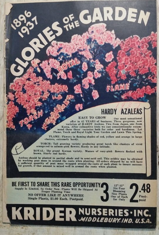 1937 Krider’s Glories of Garden Floral Fruits Shrubs Catalog Middlebury IN