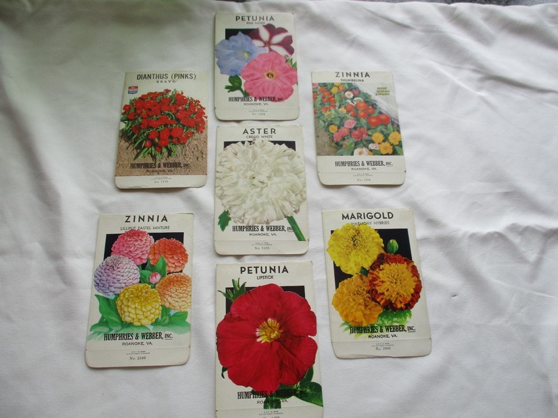 Lot of 7 Antique HUMPHRIES & WEBBER Flower Seed Packet Envelopes New Old Stock
