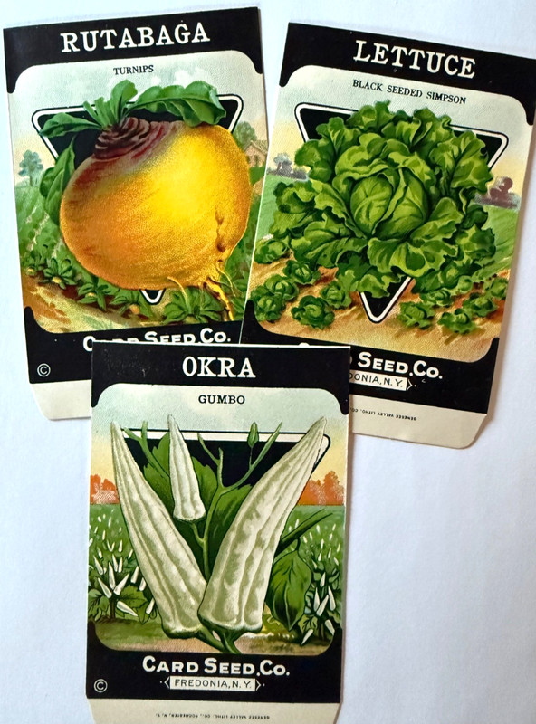 10 Antique Seed Packets New Old Stock No Seeds, Card Seed Co, Fredonia, NY A3 gallery