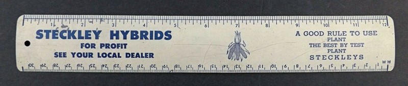 Vintage Steckley Hybrids Seed Corn Metal Advertising Ruler