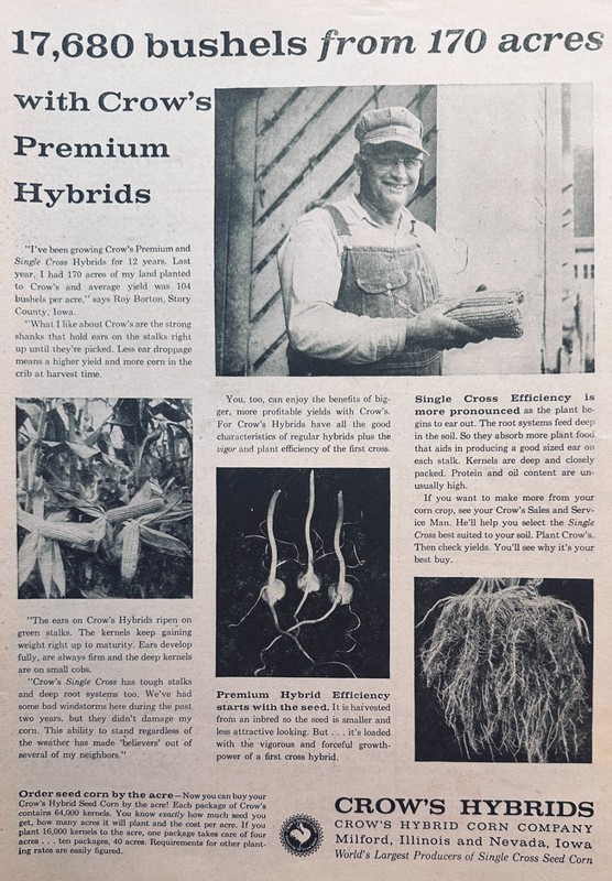 Lot of (4) Crow’s Hybrid Seed Corn Advertisements from 1959 Set #887