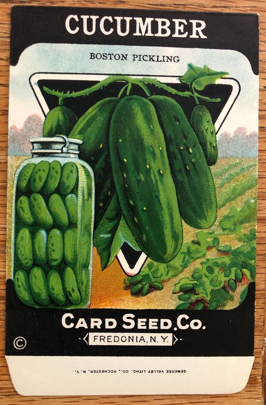 Vintage 1940s Lone Star Boston Pickling Cucumber Seed Packet Empty Vegetable