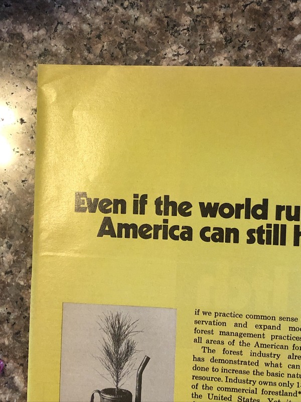 1974 American Forest Institute PRINT AD Renewable Resource VTG 1970s Tree Farm gallery