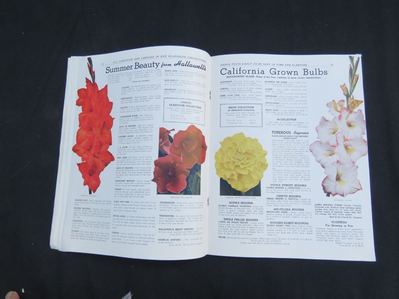 Vintage 1947 HALLAWELL Seed Plant Catalog San Francisco CA Color Scarce gallery