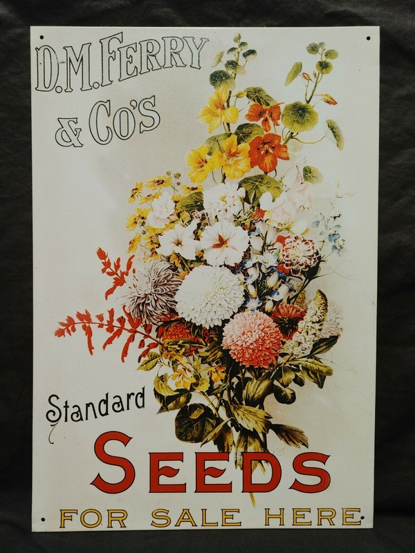 D.M.Ferry & Co’s Standard Seeds for Sale Here Metal Advertising Sign 11×16″