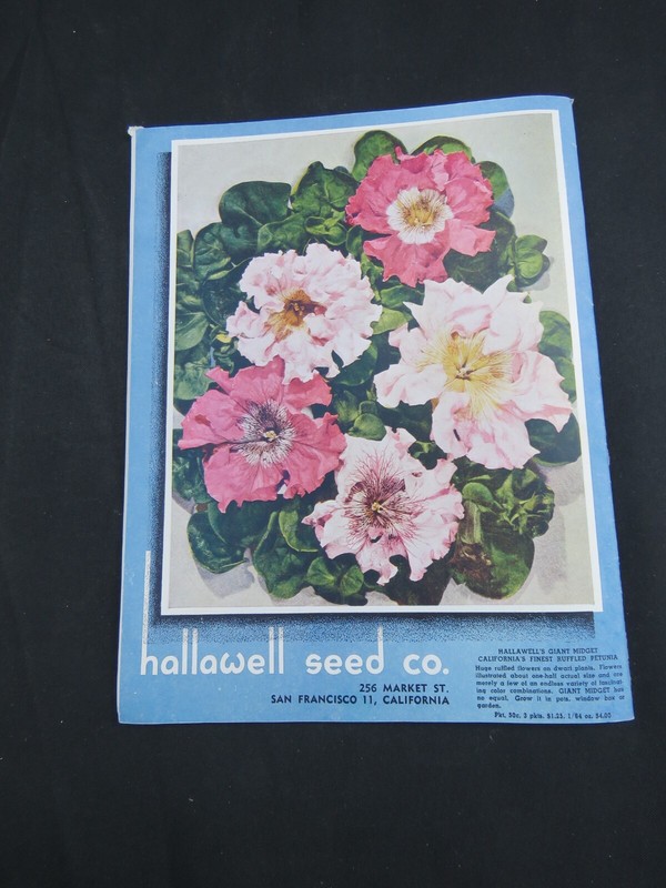 Vintage 1947 HALLAWELL Seed Plant Catalog San Francisco CA Color Scarce gallery