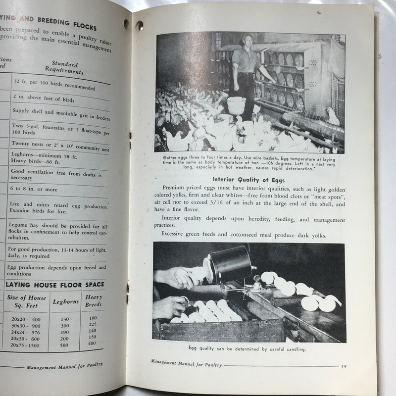 1952 McMillen Feed Mills Management Manual for Poultry Master Mix Feeds PA OH gallery