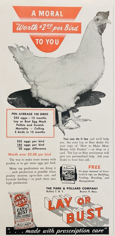 1948 AD.(XH86)~PARK & POLLARD CO. BUFFALO, NY. LAY OR BUST EGG MASH FEED