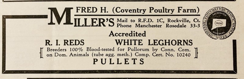 1934 AD.(XH82)~FRED H. MILLER’S COVENTRY POULTRY FARM, CONN. R.I. REDS & LEGHORN