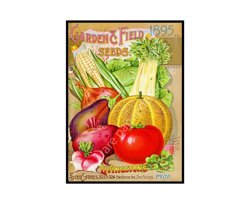 Garden Decor, Antique Seed Pack Style 5″ x 7″ Print, Gardening Gift REPRODUCTION