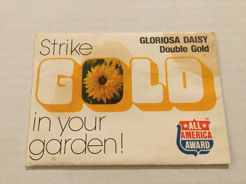 Vintage Rare Sealed Packet Pack Of Burpee Gloriosa Daisy Seeds, Packed For 1981