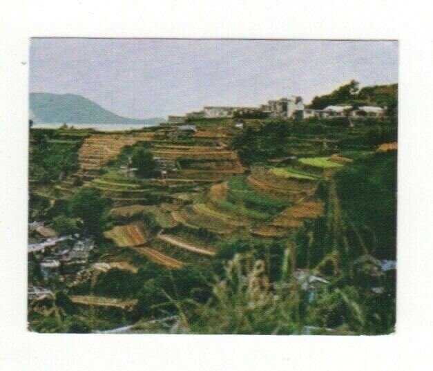 Sanitarium NZ Card. Garden Terraces, Hong Kong