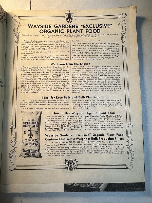 1955 Wayside Gardens Root Strength Planting Illustrated Seed Catalog gallery