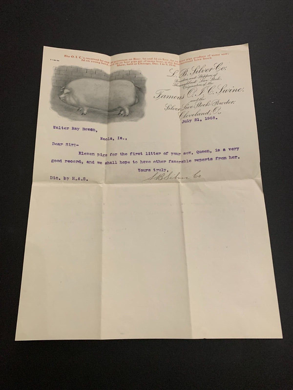 July 21 1903 L.B. Silver Famous O.I.C. Swine Letterhead Cleveland Ohio