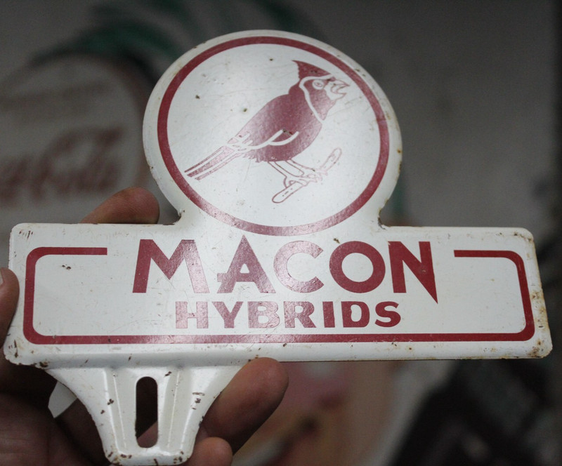 MACON HYBRIDS STAMPED PAINTED METAL TOPPER SIGN SEED CORN CARDINAL BIRD 1950s