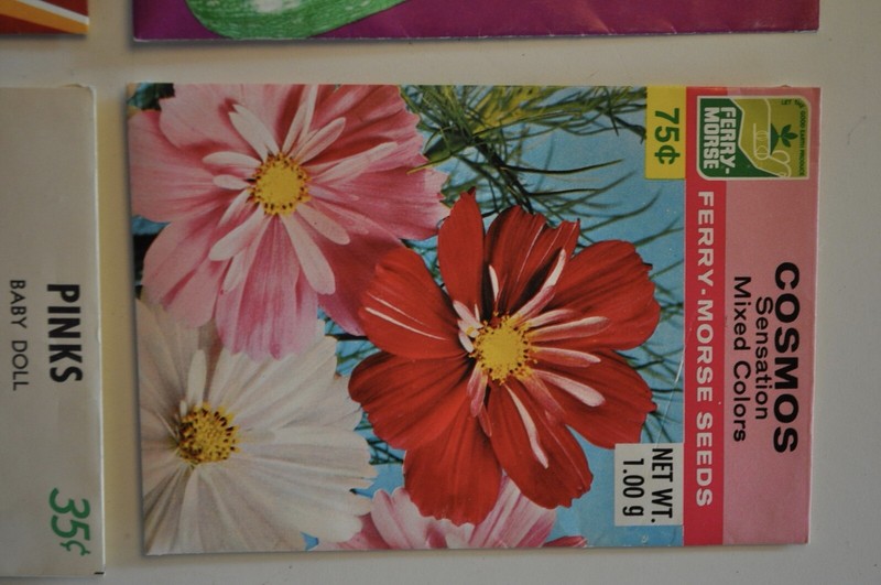Vintage Seed Packet Ferry Morse and Assorted Flowers 4 Packages gallery