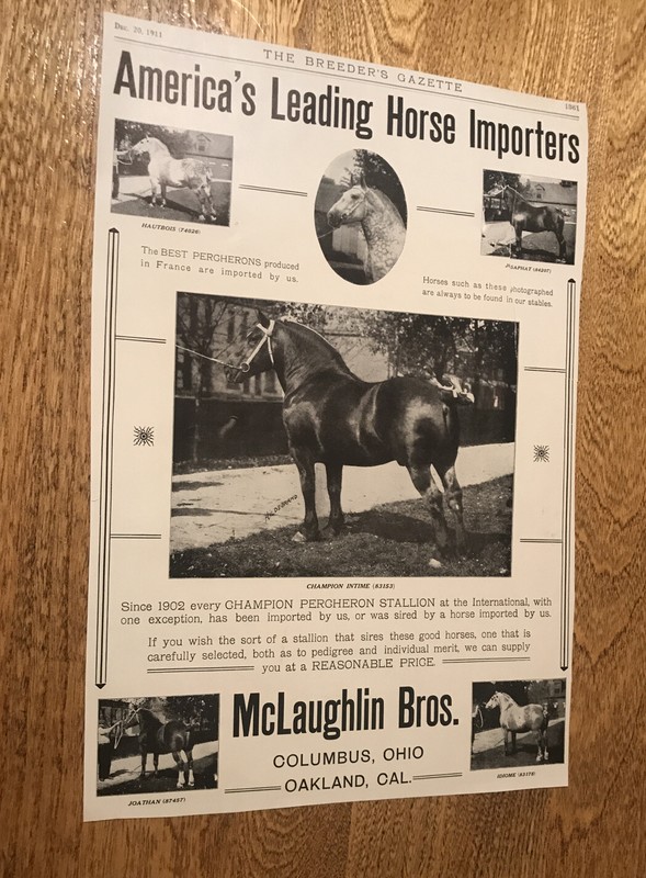1911 McLaughlin Bros. Horse Advertising – Oakland – California – Columbus – Ohio