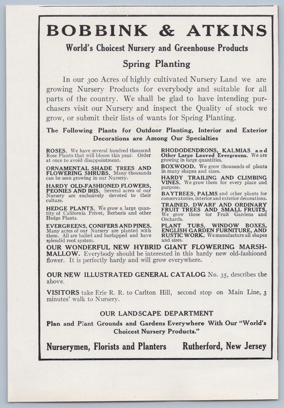 1914 Bobbink & Atkins Vintage Ad Nursery Plants Gardening Flowers Landscaping