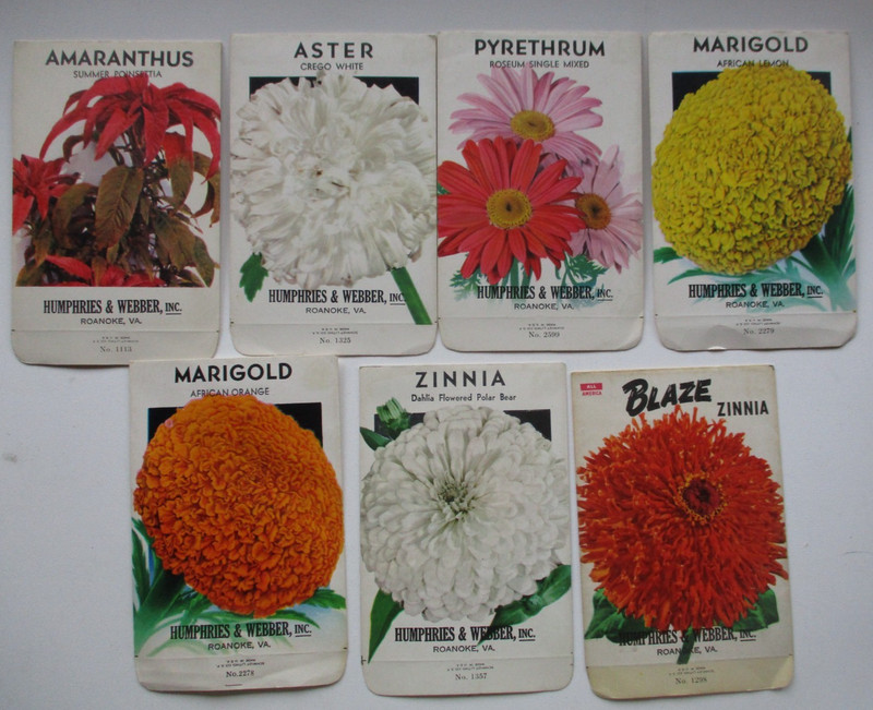 7 Antique HUMPHRIES & WEBBER Flower Seed Packet Envelopes New Old Stock VTG Lot