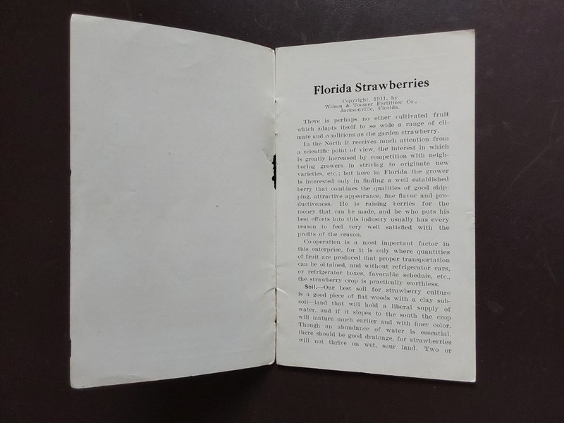 1913 & 1914 FLORIDA AGRICULTURAL PAMPHLETS * WILSON & TOOMER JACKSONVILLE FL gallery