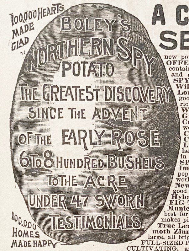 BOLEY’S N. SPY POTATO Samuel Wilson Mechanicsville,Pa.Vtg 1889 Seed Co. Print Ad