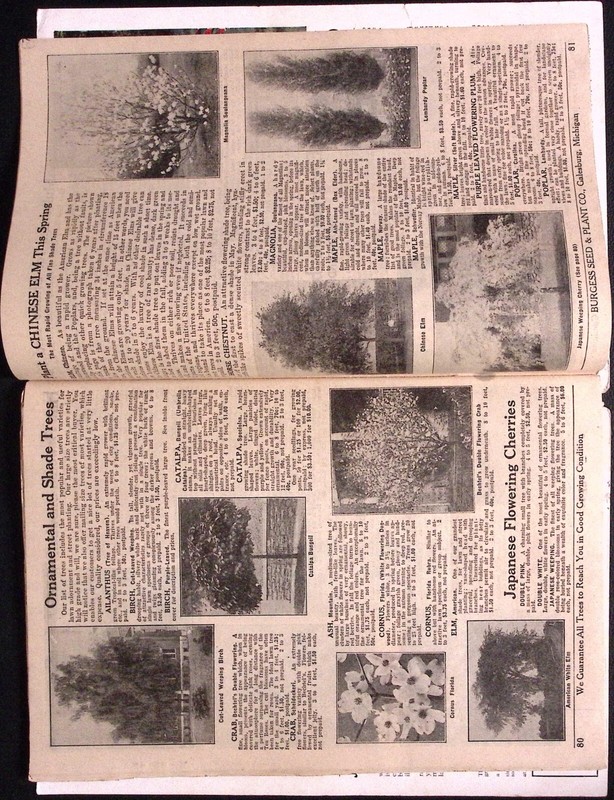 1931 Burgess Seed & Nursery Book Burgess Seed Plant Co Galesburg MI Seed Catalog gallery