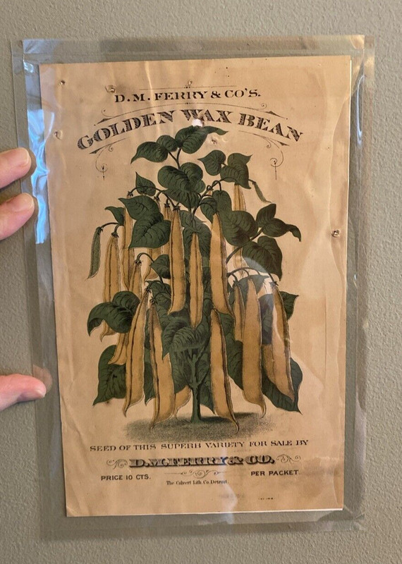 Antique D.M. Ferry & Co’s Golden Wax Bean Advertising Sign Poster 10 CTS Detroit