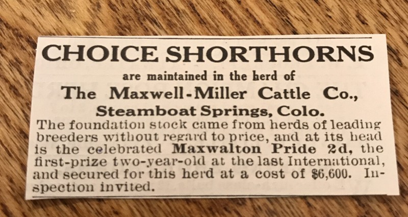 1917 Shorthorns Cattle Advertising – Cow – Steamboat Springs – Colorado