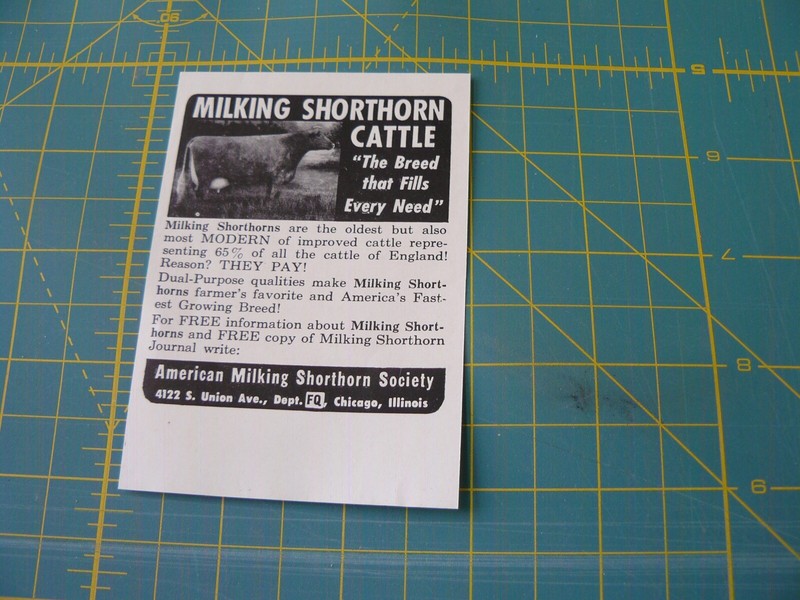 THE FARM QRTLY- Aug 1949 -ad- MILKING SHORTHORN CATTLE dual-Purpose/ CHICAGO ILL