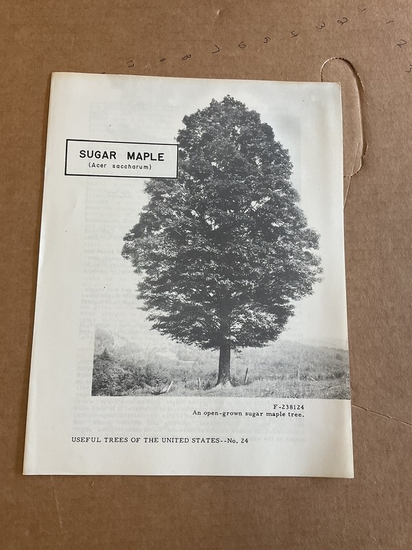 USA DEPT OF AGRICULTURE USEFUL TREES SUGAR MAPLE Information Brochure B10