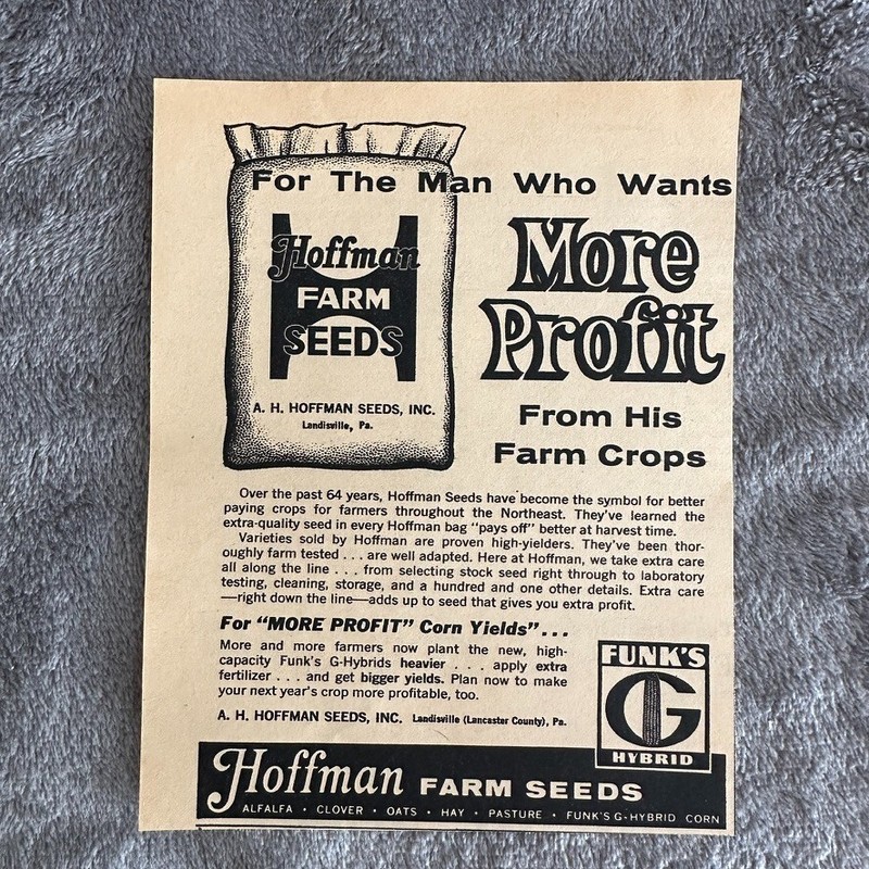 Hoffman Farm Seeds Funks G Hybrid Agriculture Corn Vintage Print Ad 1963