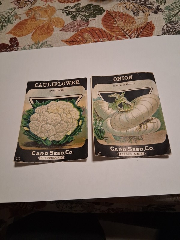 Vtg 2 Orig Seed Labels CARD SEED CO. Fredonia NY Onion Cauliflower Spring Crafts