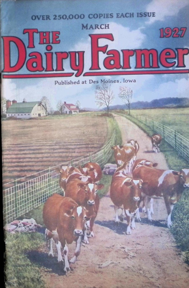 1927 Dairy Farmer March Iowa Purina Cows Barn Plan Vintage Ad