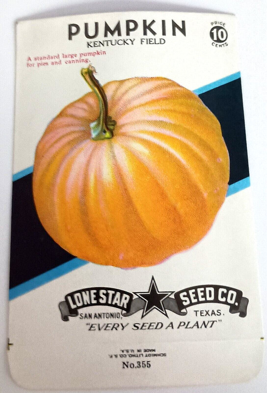 Vtg Pumpkin Lone Star Co. Seed Litho Packet NOS New 1950s San Antonio TX