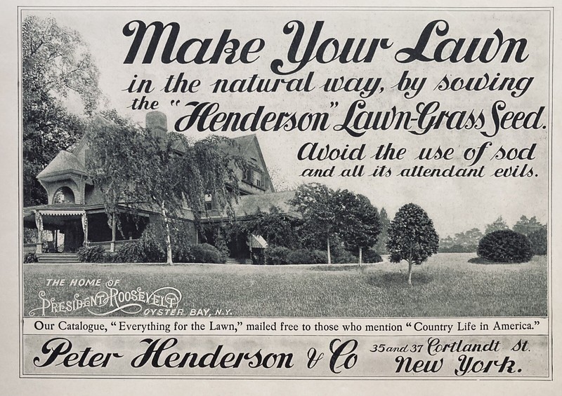 1903 AD.(XH47)~PETER HENDERSON CO. NYC. LAWN GRASS SEED FOR PRESIDENT ROOSEVELT