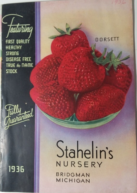 1936 Stahelin’s Nursery Seed Catalog Bridgman Michigan Dorsett Strawberry Cover