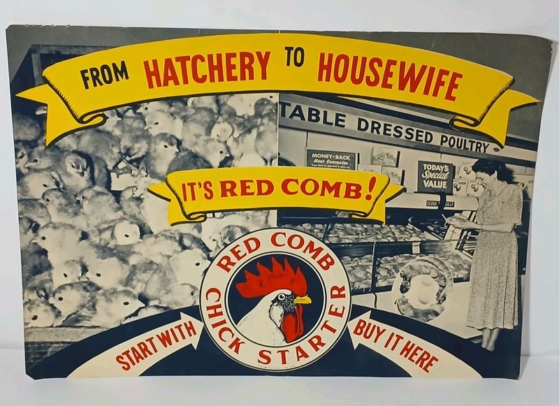 24" Antique Vintage 1950s RED COMB POULTRY FEEDS Graphic Farm Advertising Sign