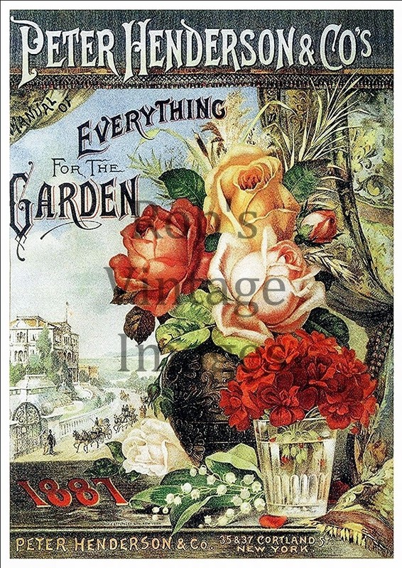 1885 Peter Henderson Vintage Garden Flower Fruit Seed Poster Art Print 13×19