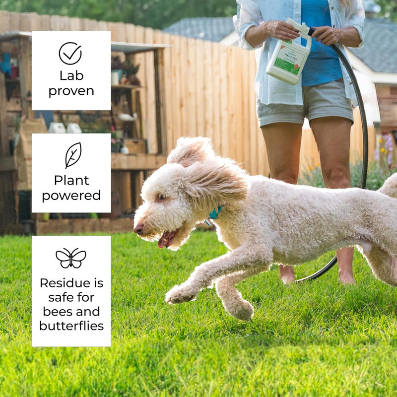 - Ready to Use Flea, Tick, and Mosquito Yard Spray with Natural Essential Oils – gallery
