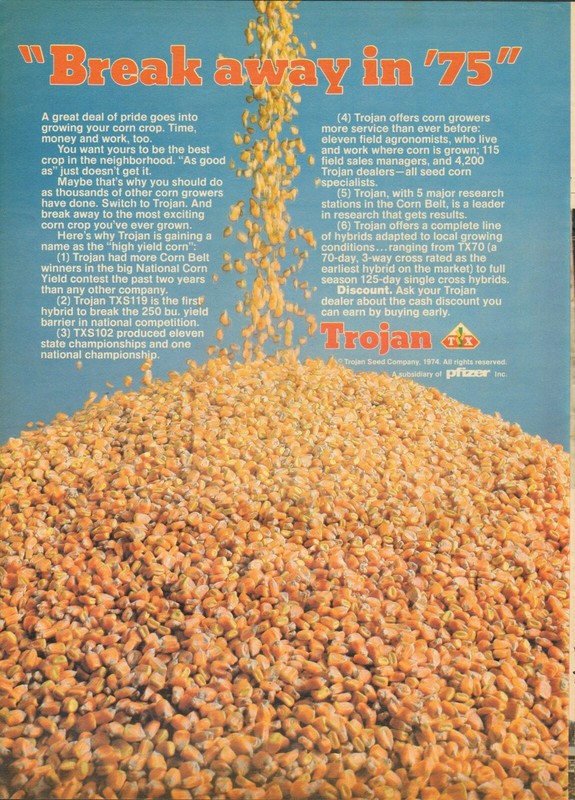 1974 XLARGE Print Ad of Pfizer Trojan Seed Co Hybrid Corn break away in 75