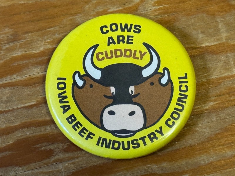 Vintage Cows Are Cuddly Iowa Beef Council Vintage Pin Button 2 1/4″