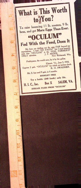 Oculum Chicken Feed Serum Advertising Flyer Salem VA Vintage gallery