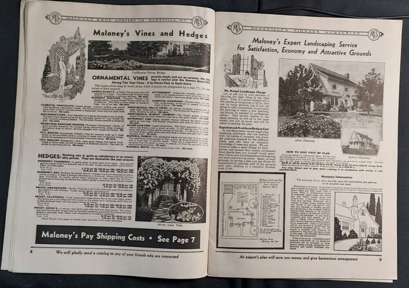 1934 Seed Nursery Catalog Maloney Brothers Dansville NY Roses Vegetable Fruits gallery