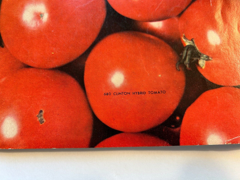 Maule Seeds Catalog 1947- Clinton Hybrid Tomato on Cover WM Henry Maule Co. Vtg