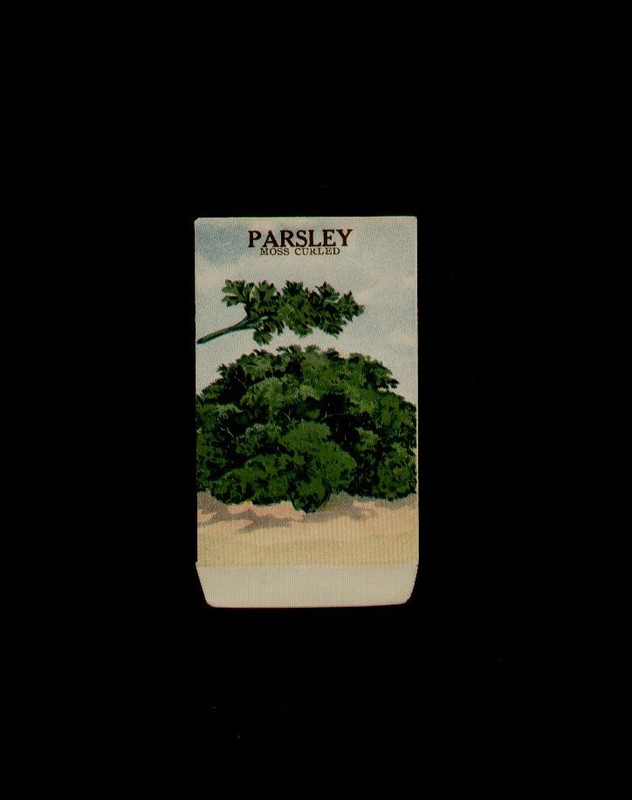 ANTIQUE 1915 PARSLEY LITHO SEED PACKET ~L@@K~A MUST SEE….