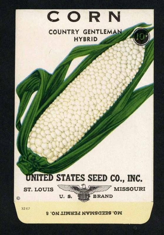 CORN, United States Seed Co., St. Louis, Vintage Seed Packet, Kitchen Decor 104