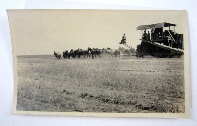 Antique Farm Tractor Thresher 29 Mule Team California Farming Photo 1926 gallery
