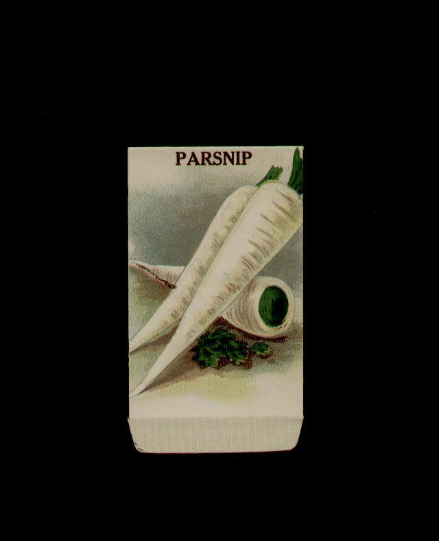 ANTUQUE 1915 PARSNIP VEGETABLE LITHO SEED PACKET ~L@@K~A MUST SEE….