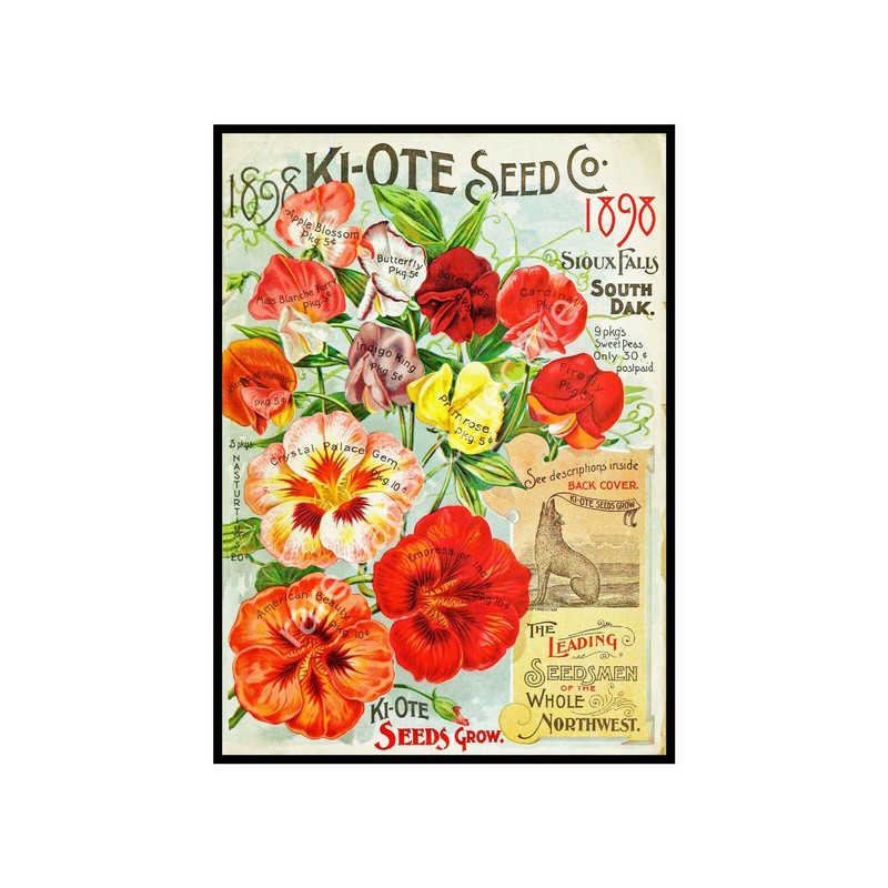 Gardening Decor, Antique Seed Pack Style 5″ x 7″ Print, Garden Gift REPRODUCTION