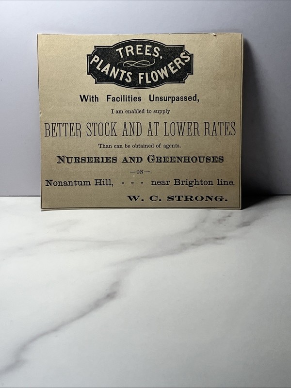 1900’s Print Ad Trees Plants And Flowers Nurseries And Greenhouses W.C. Strong